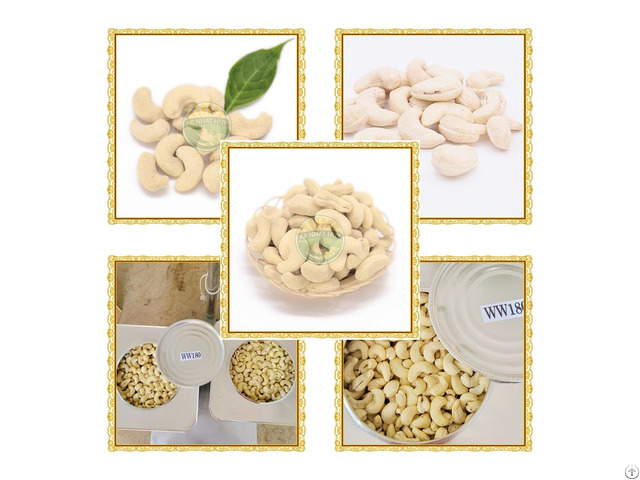 Vietnamese Cashew Kernel