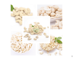 Vietnamese Cashew Kernel All Grades Available