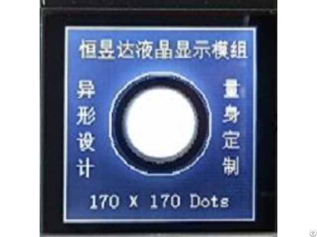 Custom Lcd Displays