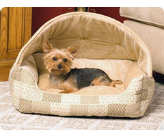 The Advantages Of Pp Cotton Dog Mat