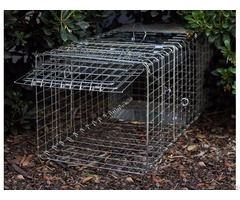 Live Animal Traps