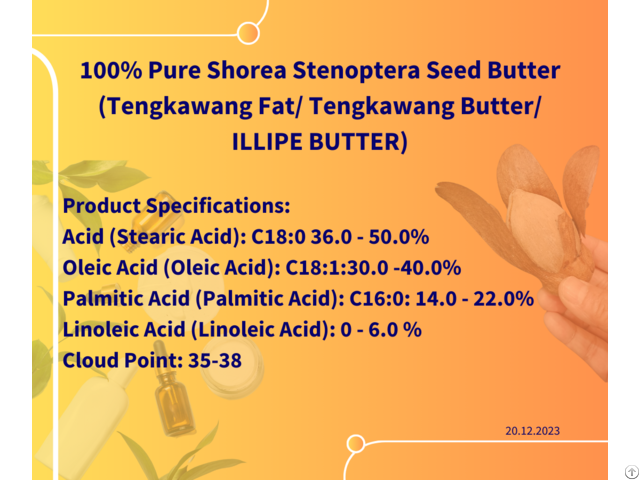 Shorea Stenoptera Seed Butter