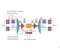 Coherent 400g 200g 100g Dwdm Otn Solution