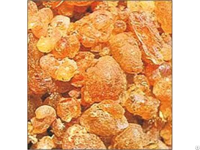 Gum Arabic