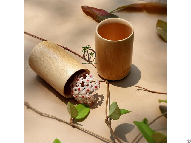 Bamboo Cup