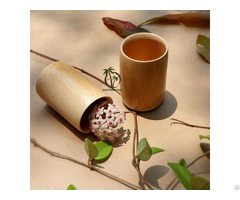 Bamboo Cup