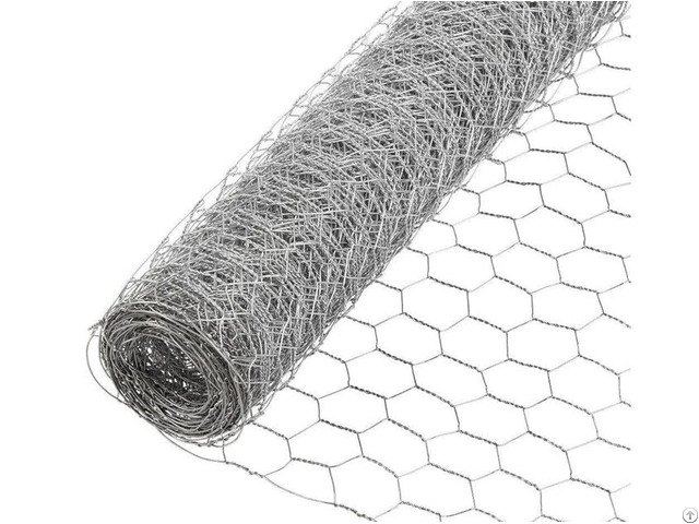 Chicken Wire Netting