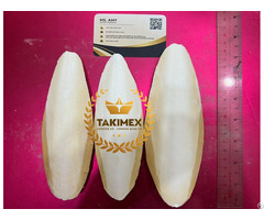 Dried Cuttlefish Bone Cuttlebone Sepia Made In Vietnam