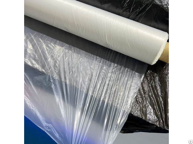 Biodegradable Plastic Film Manufacturer