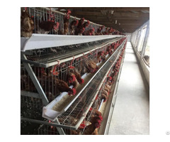 Poultry Farms In Abuja Nigeria