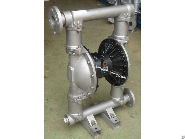 Rw Stainless Steel Air Powered Diaphragm Pump