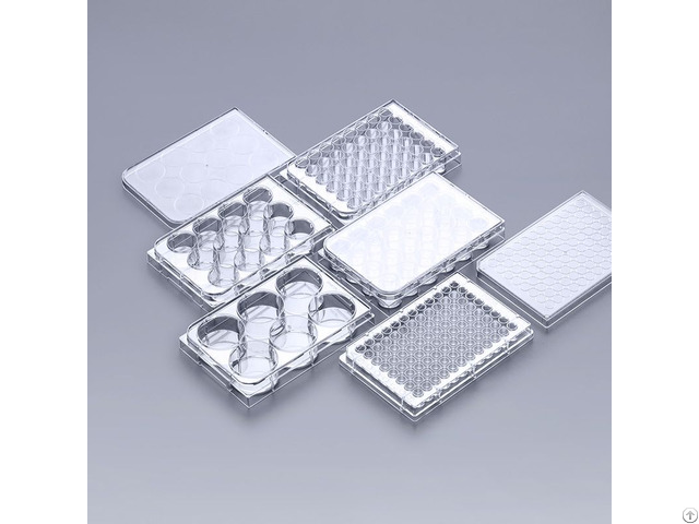A Twenty Four Well Cell Culture Plate
