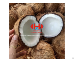Vietnam Coconut Semi Husked