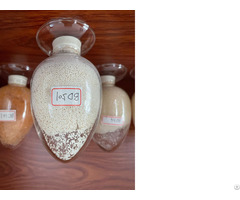 Strong Basic Anion Exchange Resin Is Used For Preparation Of Pure Water