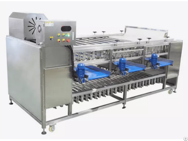 Potato Onion Sorting Grading Machine With Inspection Conveyor