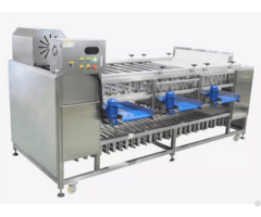 Potato Onion Sorting Grading Machine With Inspection Conveyor