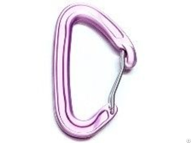 Ultra Light Wire Gate Carabiner