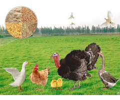 Poultry Feed Mill Plant