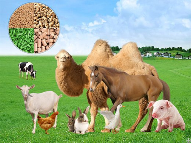Animal Feed Mill Plant