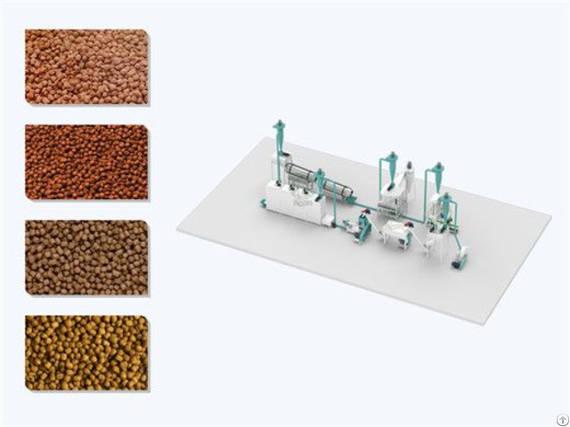 Dry Type Fish Feed Plant