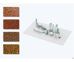 Dry Type Fish Feed Plant