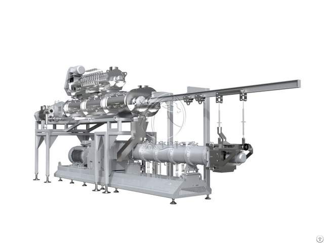 Twin Screw Feed Extruder