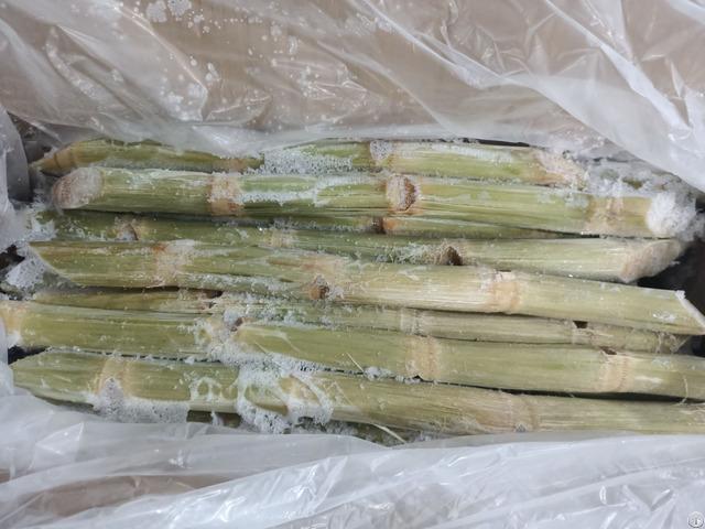 Frozen Peeled Sugarcane