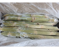 Frozen Peeled Sugarcane