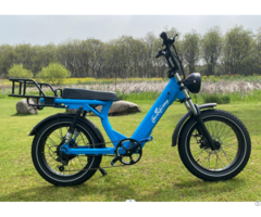 Ebike Model 2205