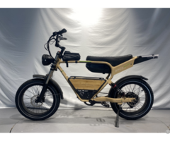 Ebike Model 2318