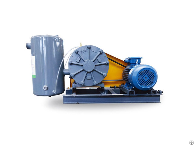 Rotary Air Blower