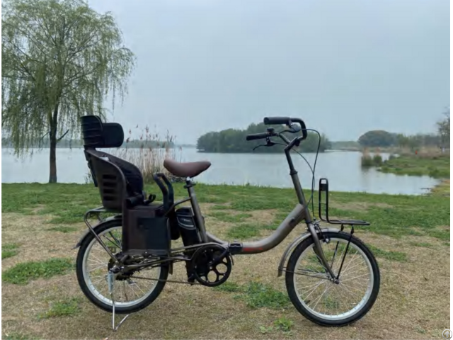 Ebike Model 2220