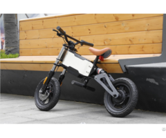 Ebike Model H2 E