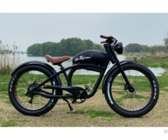 Ebike Model 2216