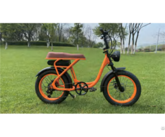 Ebike Model 2207