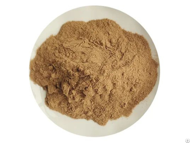 Green Tea Extract Supplier