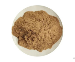 Green Tea Extract Supplier