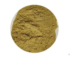 Olive Leaf Extract Supplier