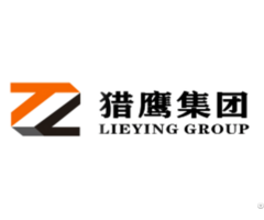 Hoist Manufacturer Lifting Slings Supplier Lieying