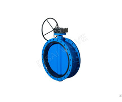 D341x Double Flange Concentric Butterfly Valve
