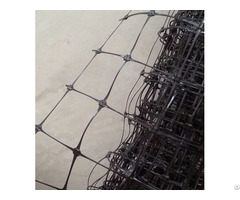 Deer Fence Net Poultry Netting