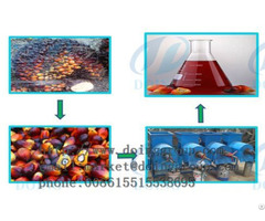 Palm Oil Extraction Machine