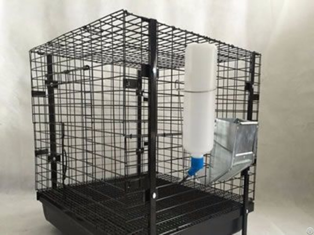 Rabbit Cage