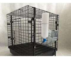 Rabbit Cage