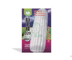 Sweet Corn Seed Bulk