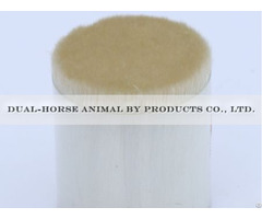 Fine Animal Hair