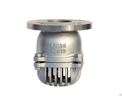 An Globe Valve