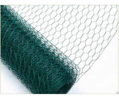 Hexagonal Netting