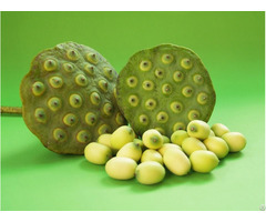 Lotus Seeds