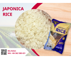 Japonica Sushi Rice With Competitive Price Whats App 84 362 688 431